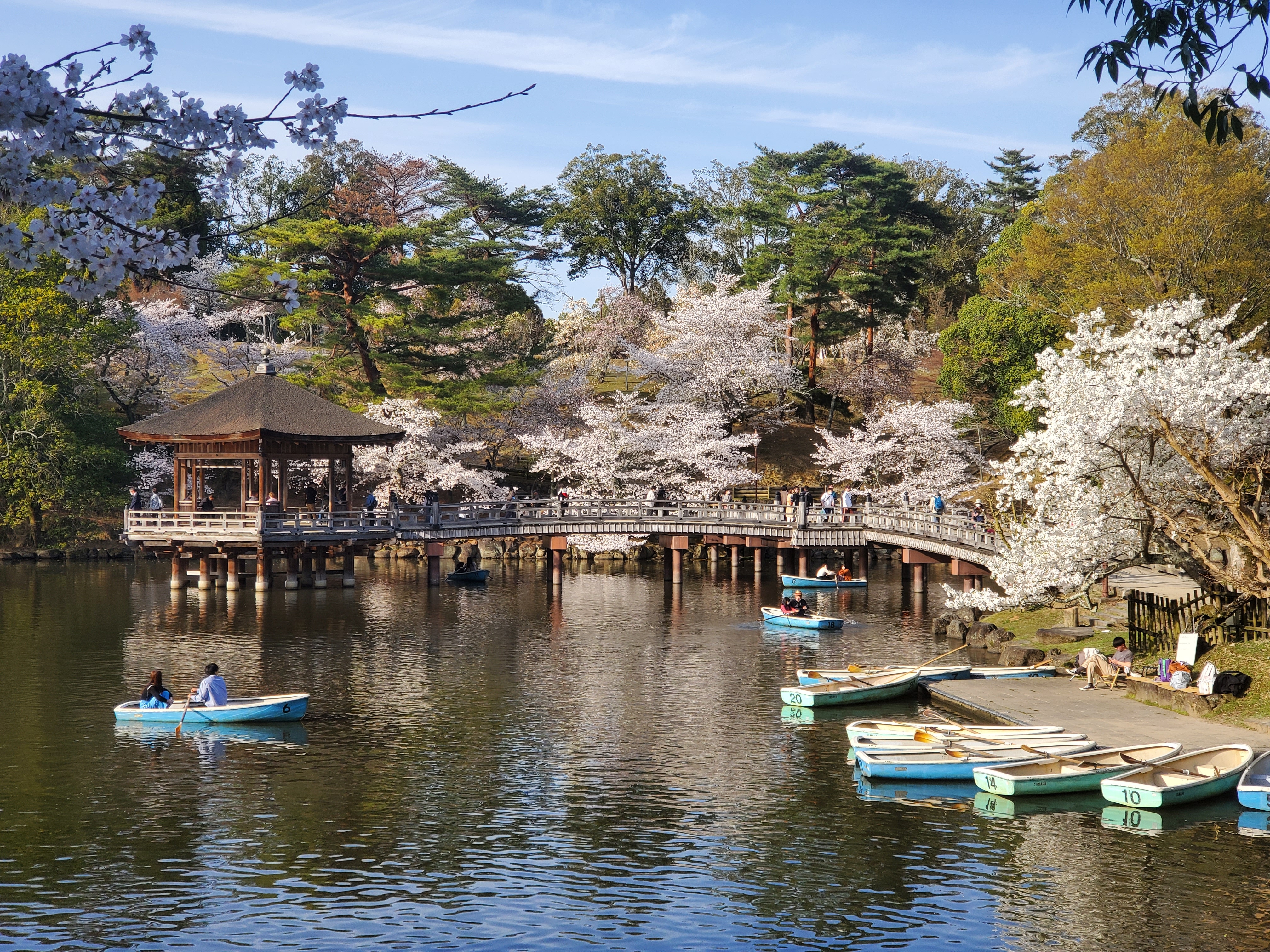 Nara Deer Park